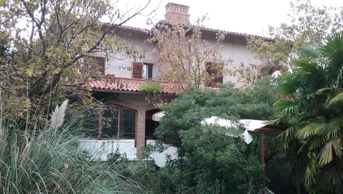 Immagine WhatsApp 2022-11-19 ore 11.03.238