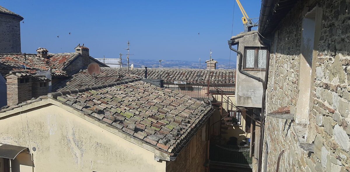 photo_2025-06-28_11-16-08