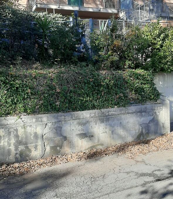 photo_2025-12-23_11-12-56