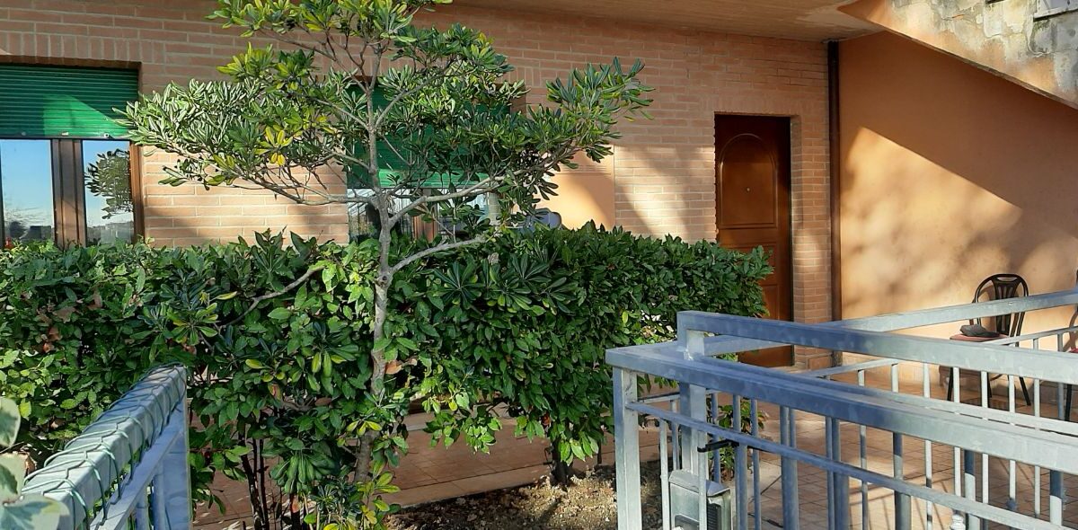 photo_2025-12-23_11-13-12