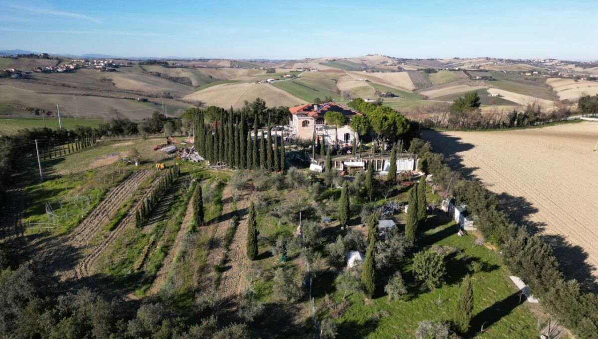 photo_2026-01-31_10-42-41